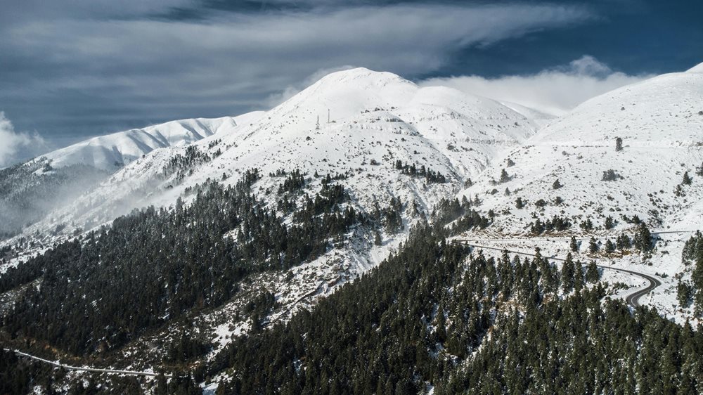 pexels-angelos-lamprakopoulos-3670919-31553753.jpg pexels-angelos-lamprakopoulos-3670919-31553753.jpg